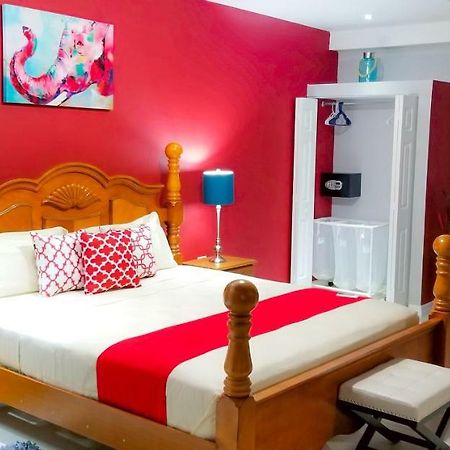 Casa Tamar Guest Apartment Kingston Dış mekan fotoğraf
